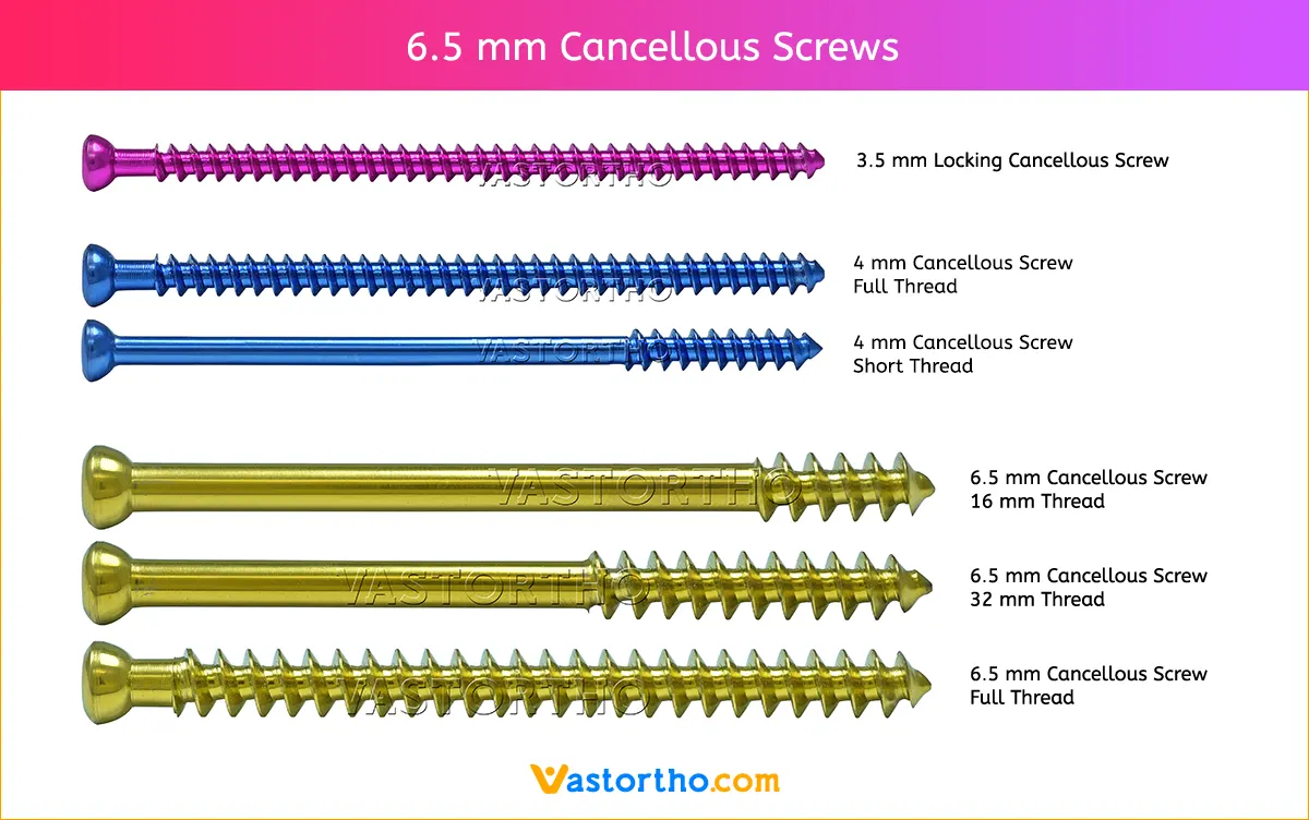 6.5-mm-Cancellous-Screws 6.5 mm Cancellous Screws