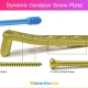 Dynamic Condylar Screw Plate