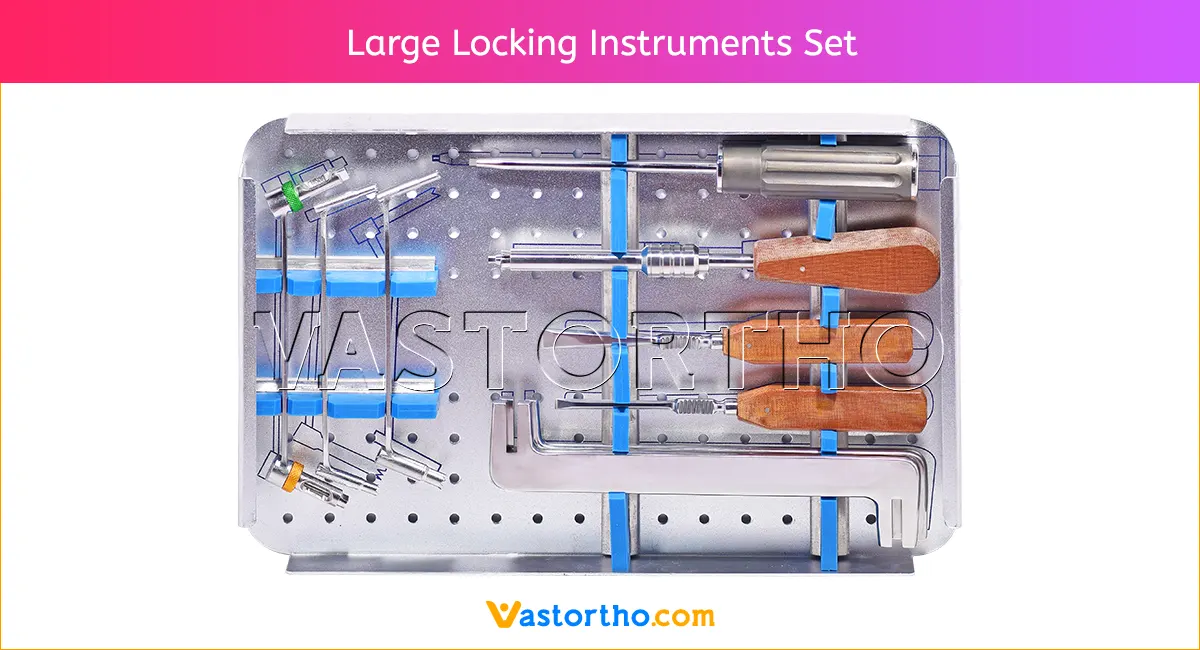Large Locking Instruments Set 1