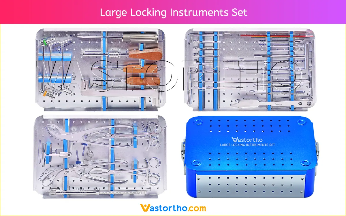 Large Locking Instruments Set