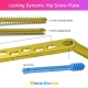 Locking Dynamic Hip Screw Plate