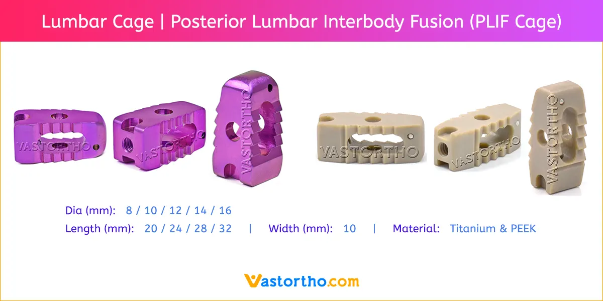 Lumbar Cage Lumbar Cage