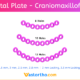 Orbital Plate Craniomaxillofacial