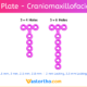 T Plate Craniomaxillofacial