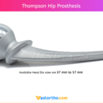 Thompson Hip Prosthesis