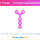 Y Plate Craniomaxillofacial